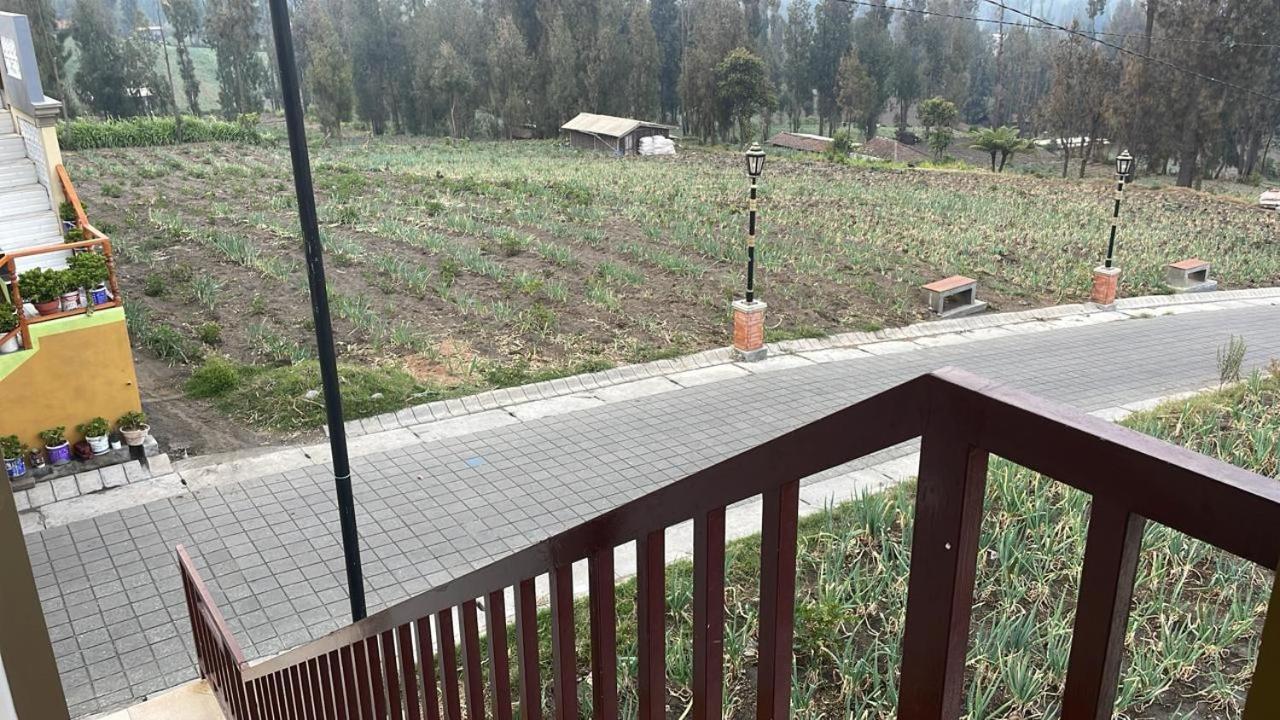 Bromo Semesta Guesthouse Probolinggo Eksteriør bilde